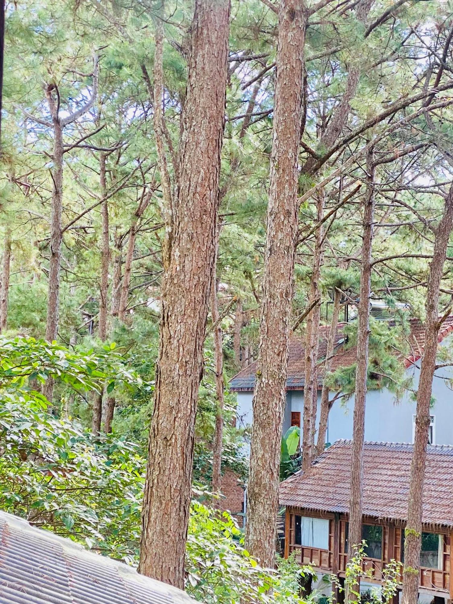 Tron Homestay Kon Von Kla Exterior foto